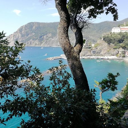 La Terrazza Sul Mare ☆☆☆☆☆ Monterosso Apartment มอนเตรอสโซ อัล มาเร ภายนอก รูปภาพ