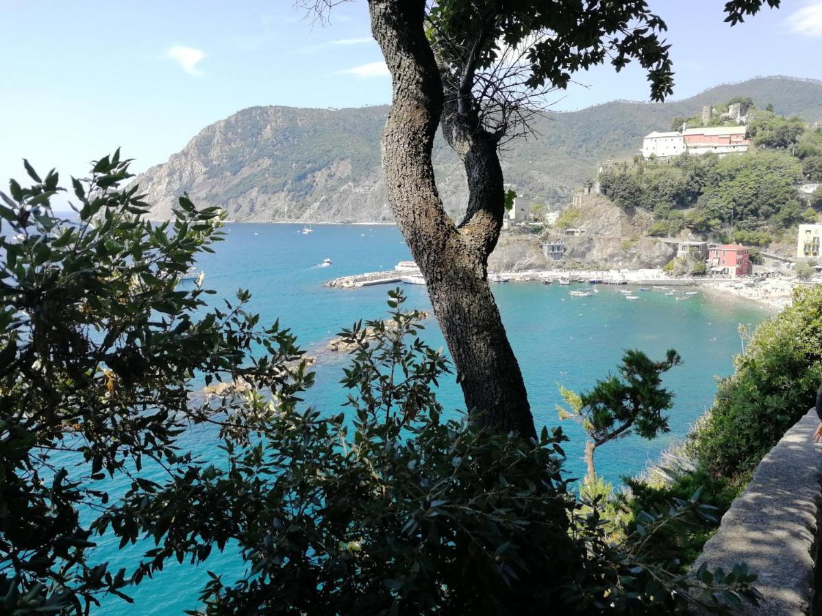 La Terrazza Sul Mare ☆☆☆☆☆ Monterosso Apartment มอนเตรอสโซ อัล มาเร ภายนอก รูปภาพ